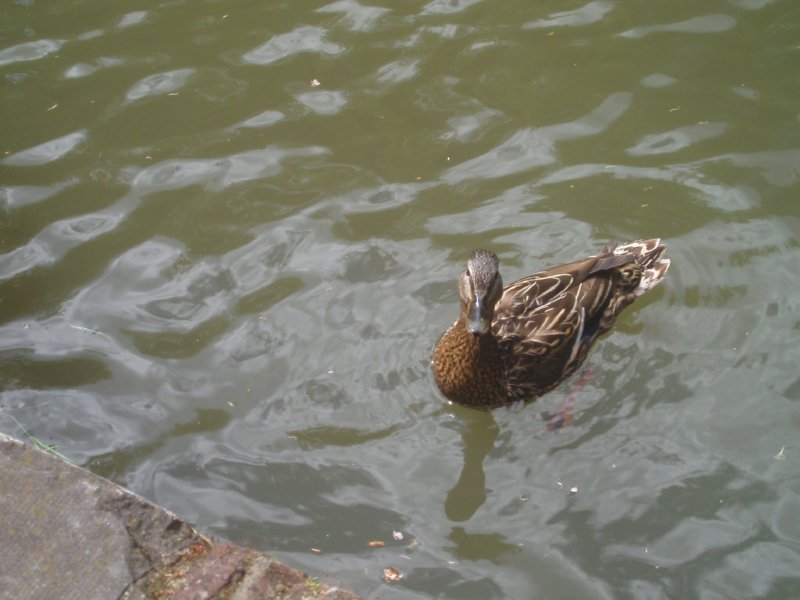 angler2_122
