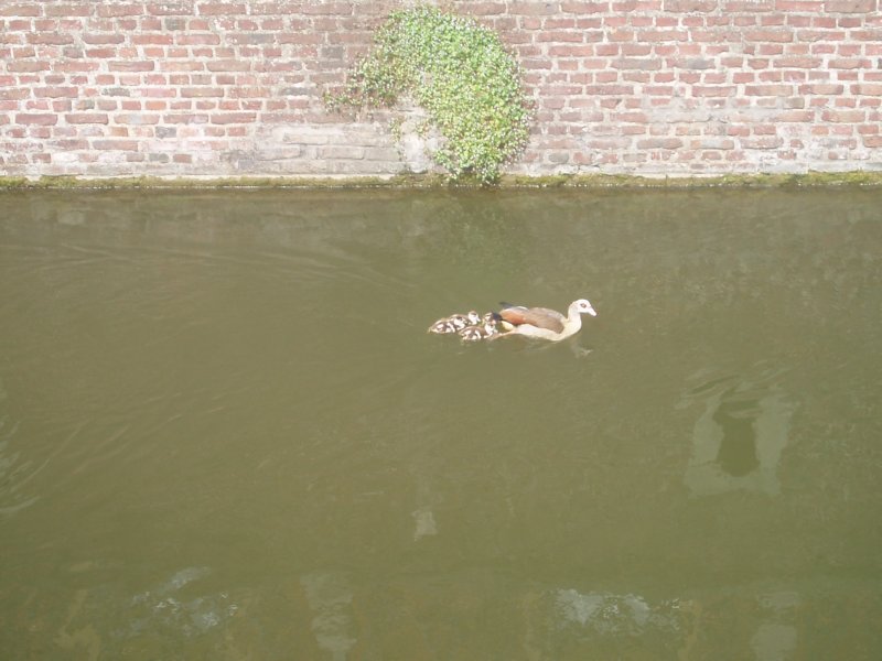 angler2_129
