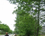 [Click to enlarge image]